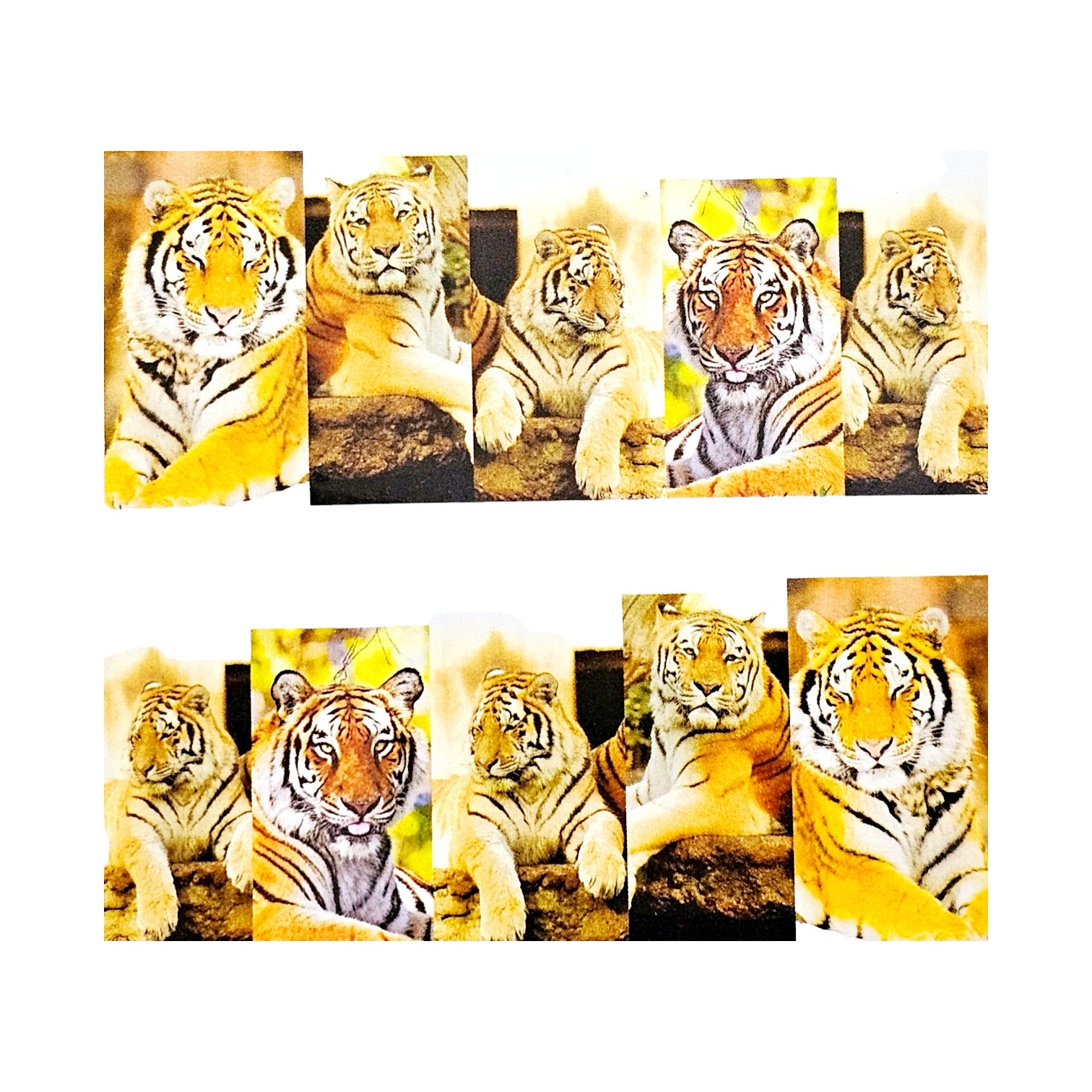 Tatuaj Decor Unghii M 85