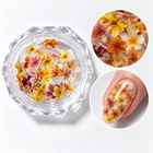 Nail Art Flower Life 04 – flori uscate galbene și portocalii, cu exemplu pe unghie
