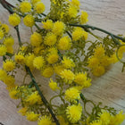 Flori artificiale galbene MF12, fundal foto