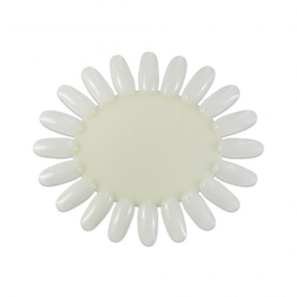 Paletar Culori -Transparent Natural