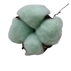 Floare de bumbac artificială verde pastel, fundal foto