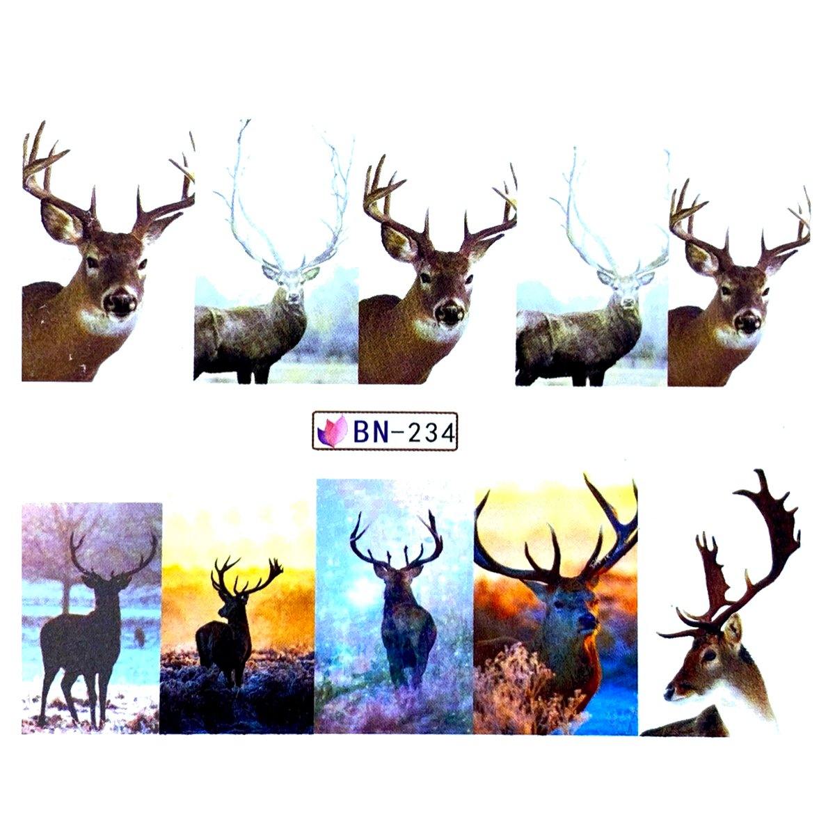 Tatuaj Decor Unghii 234 - Coria