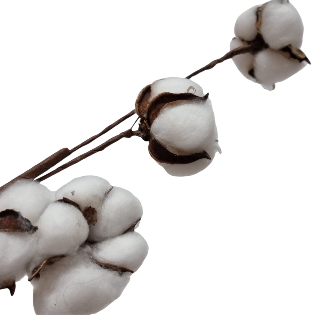 Floare de bumbac artificiala alb, 40 cm