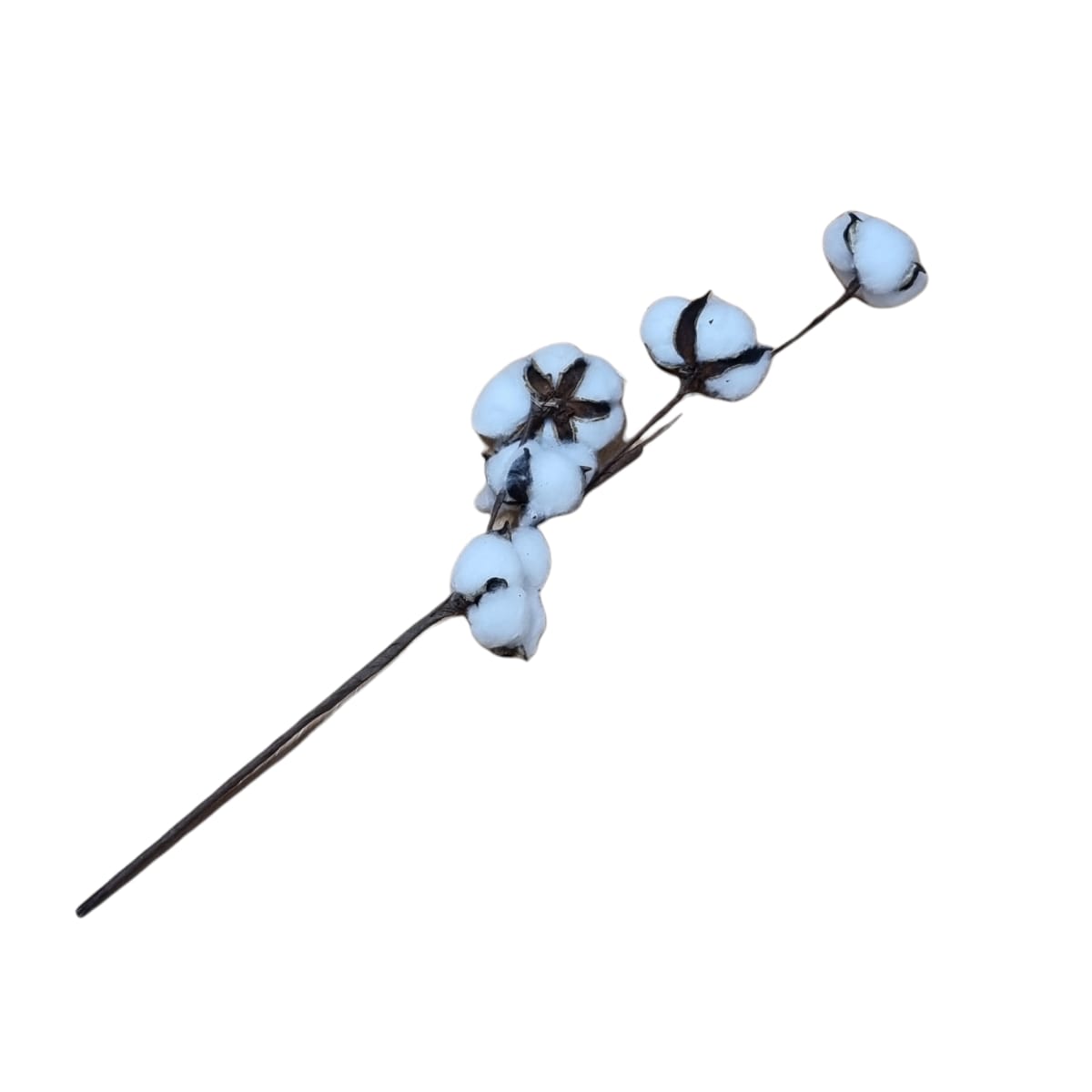 Floare de bumbac artificiala alb, 40 cm