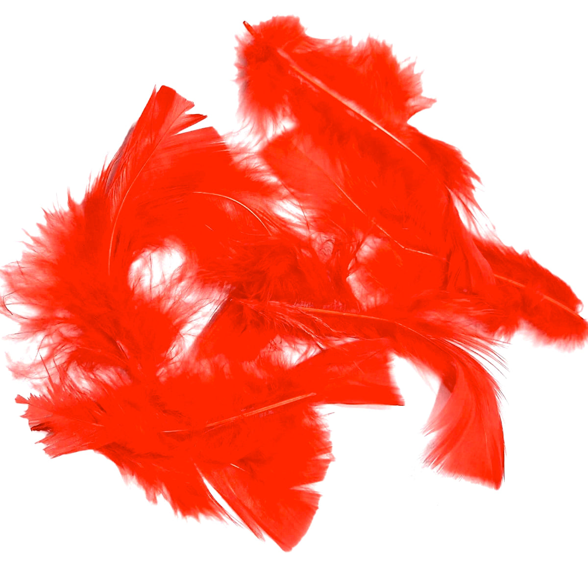 Decor Fundal Photo Pene Rosii Perys
