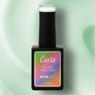Top Coat Color 019 Coria, flacon 15 ml pe fundal verde-mentă