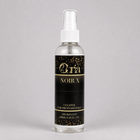 Cleaner Coria Noir X, flacon spray 100 ml