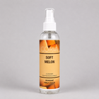 Cleaner Coria Soft Melon, flacon spray 100 ml