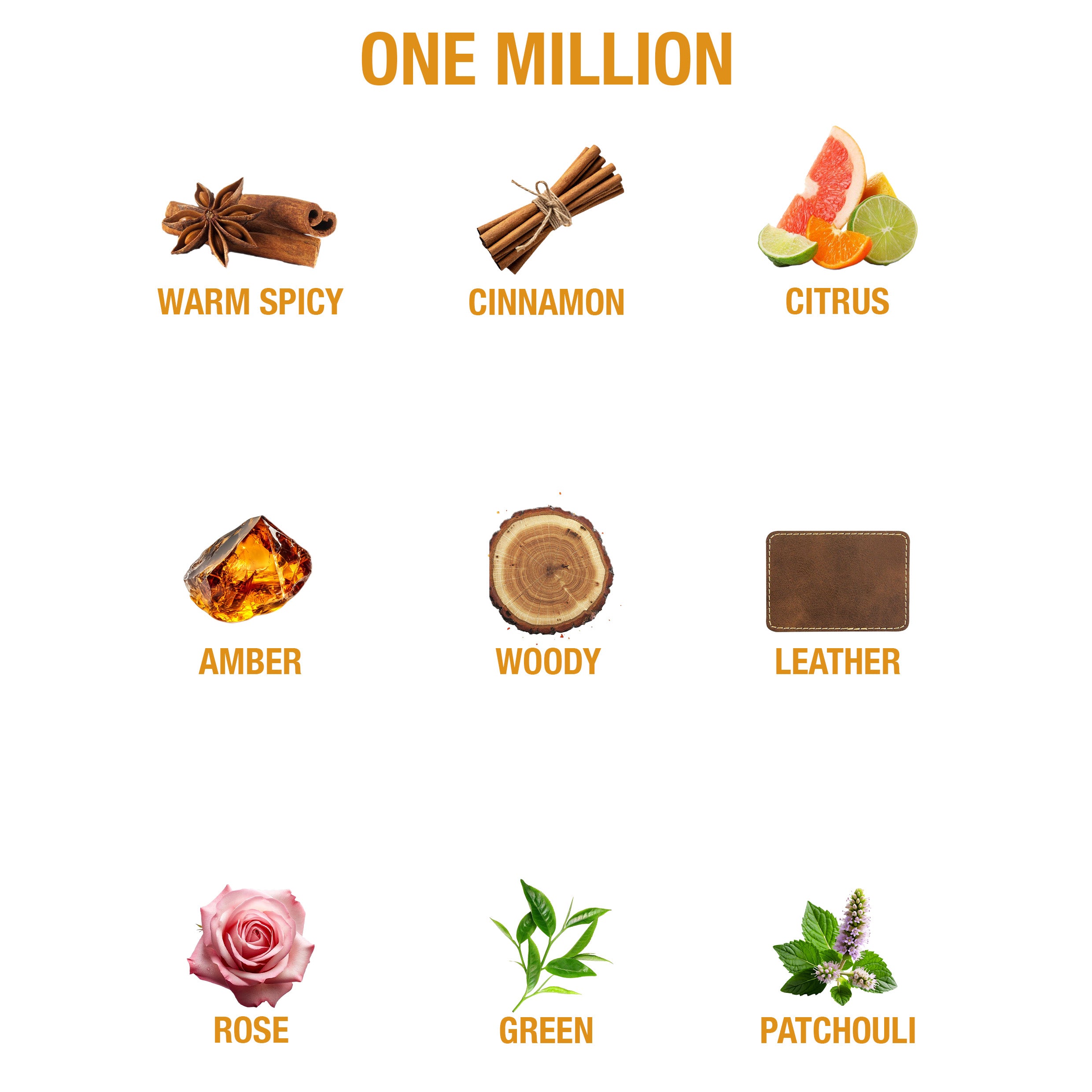 Image of Cleaner Coria One Million 250ml