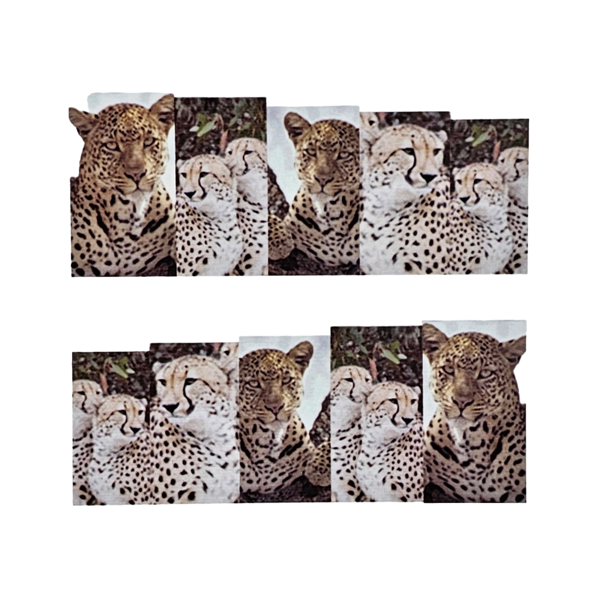 Image of Tatuaj Decor Unghii M 78