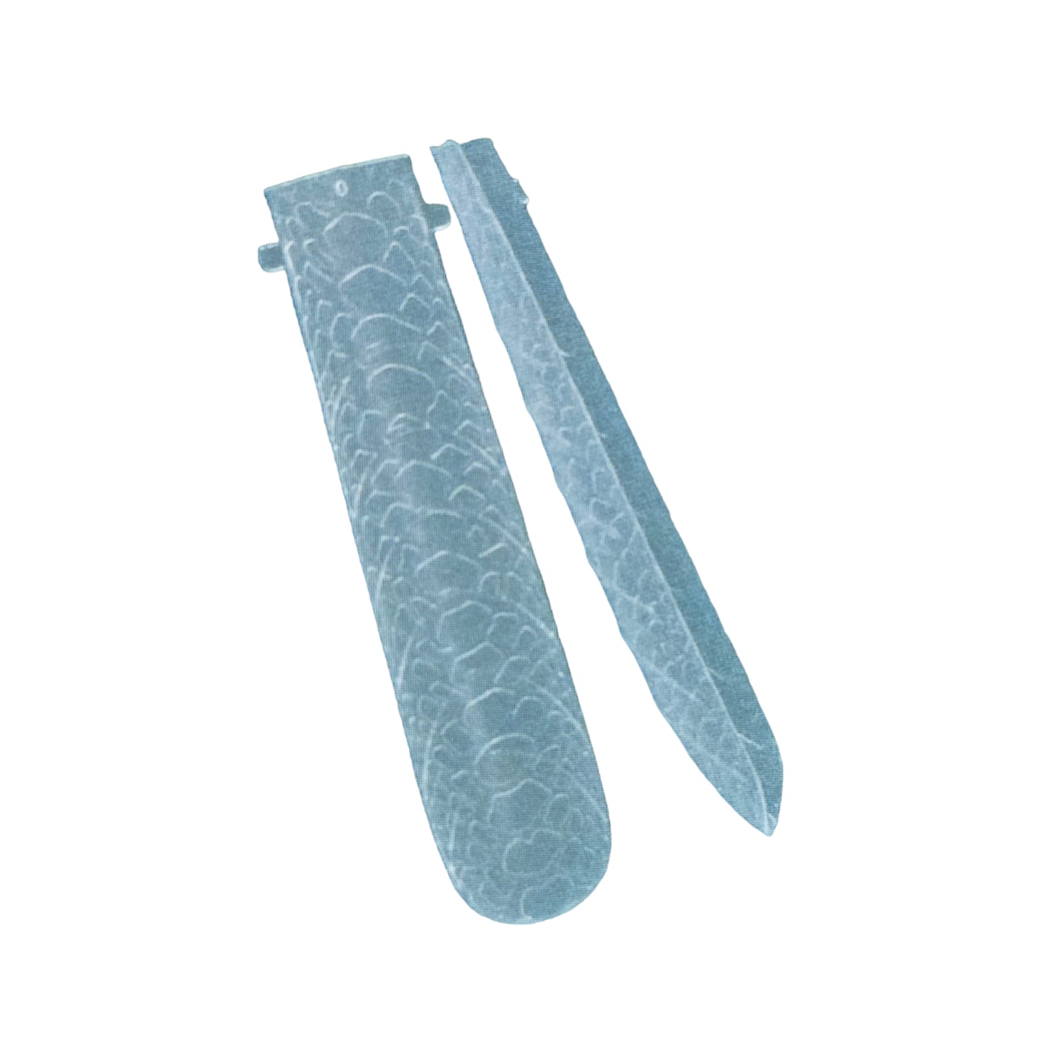 Image of Tips Reutilizabil Full, Coria ProNot
