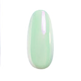 Pigment decor pentru unghii Zed 20