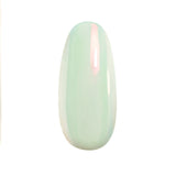 Pigment decor pentru unghii Zed 24