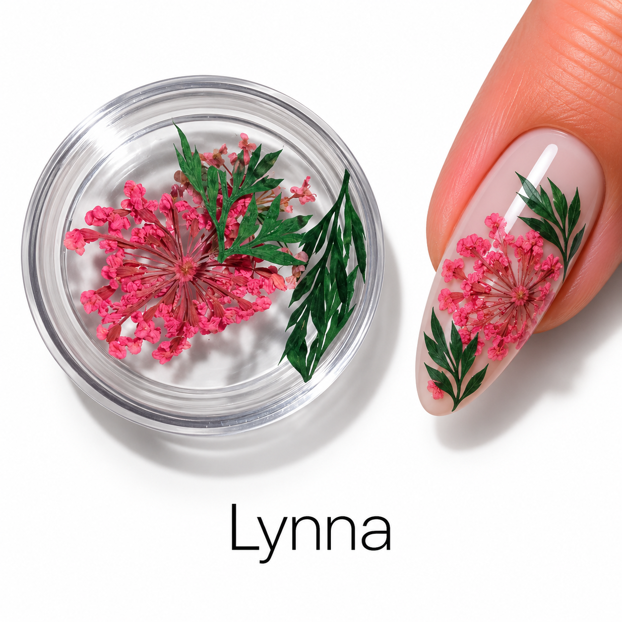 Image of Nail Art Lynna