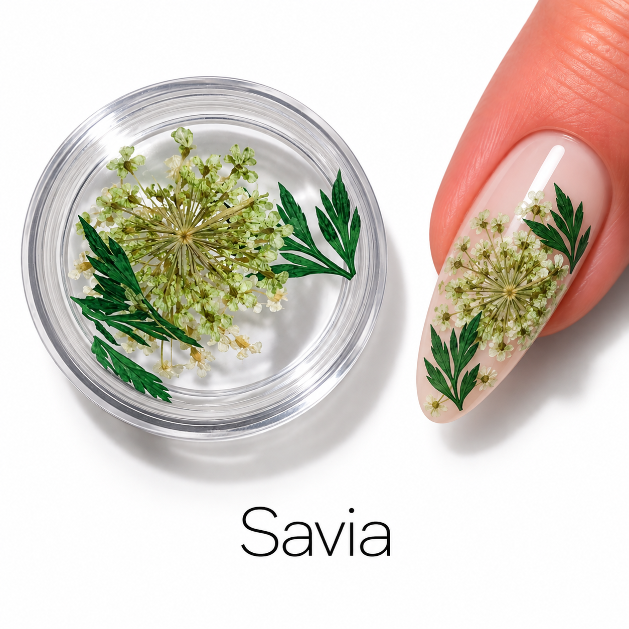 Image of Nail Art Savia