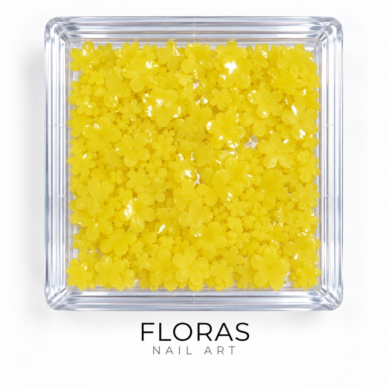 Image of Nail Art Floras