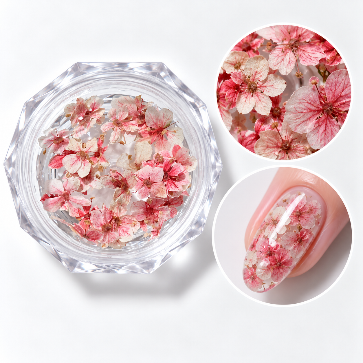 Image of Nail Art Flower Life 07