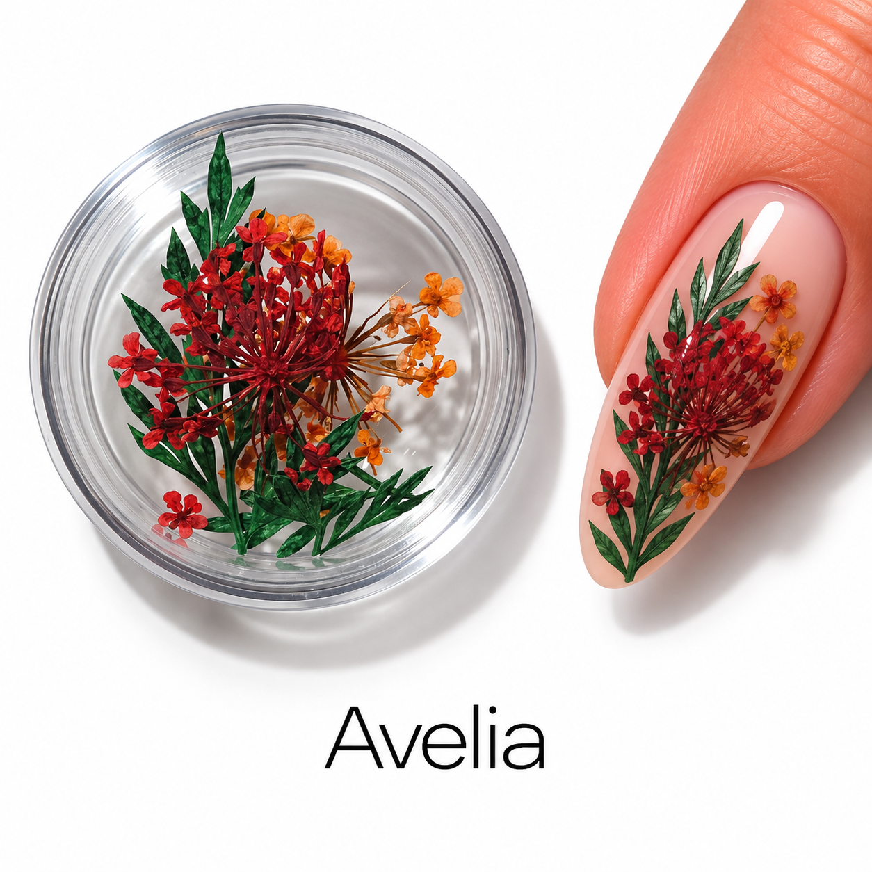 Image of Nail Art Avelia