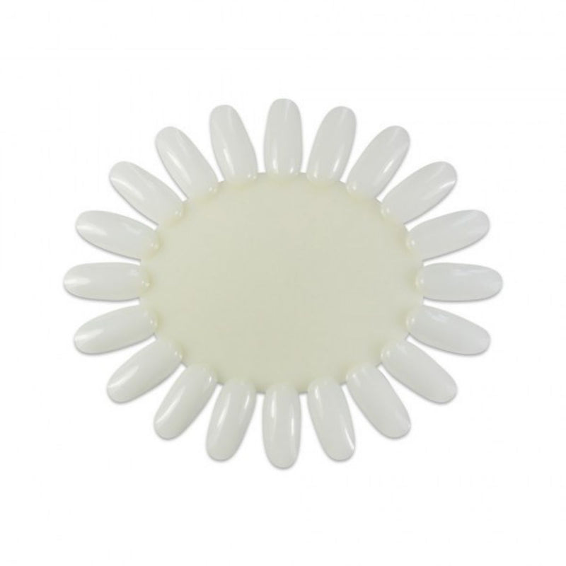 Paletar Culori -Transparent Natural
