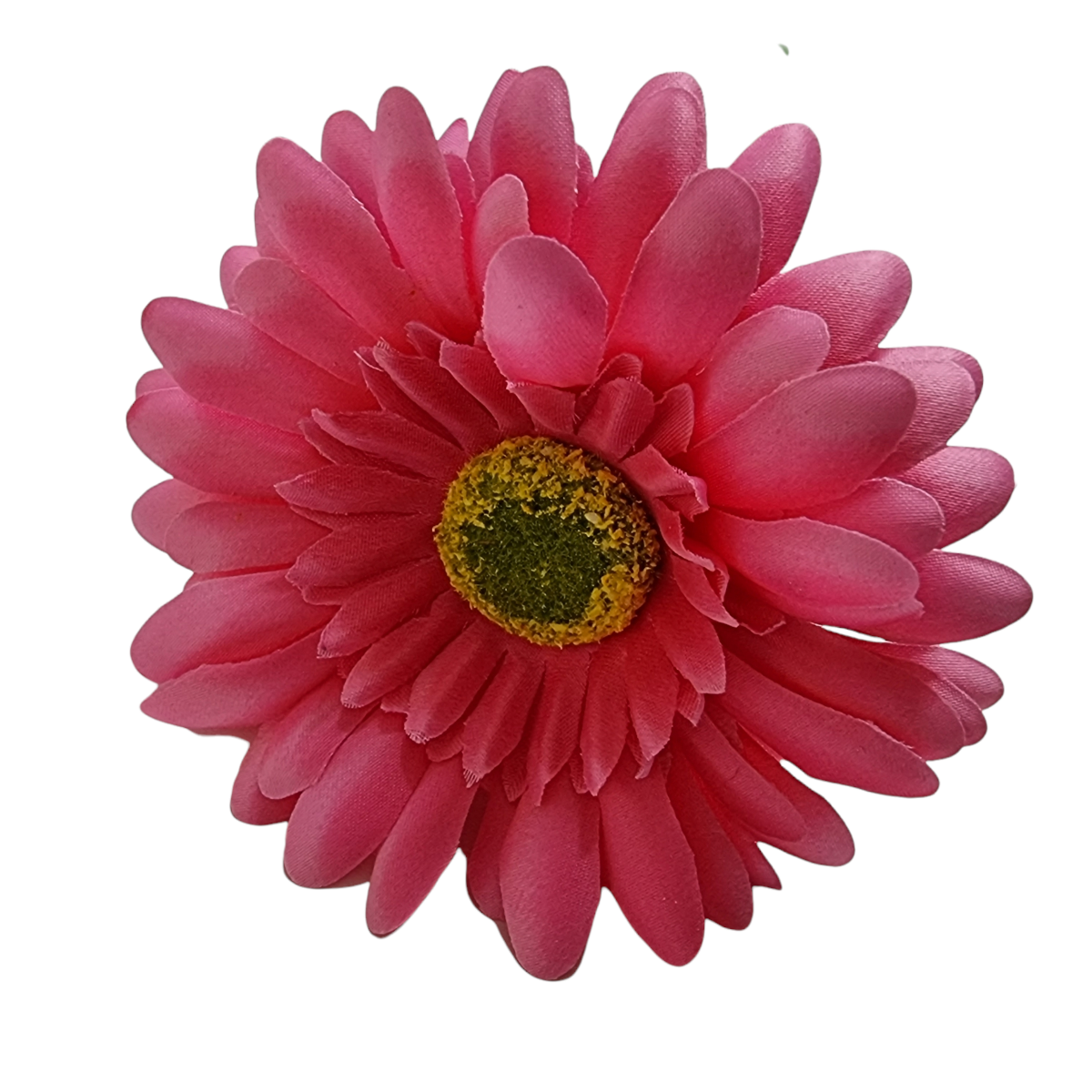 Image of Decor Flori /Fundal Photo pp