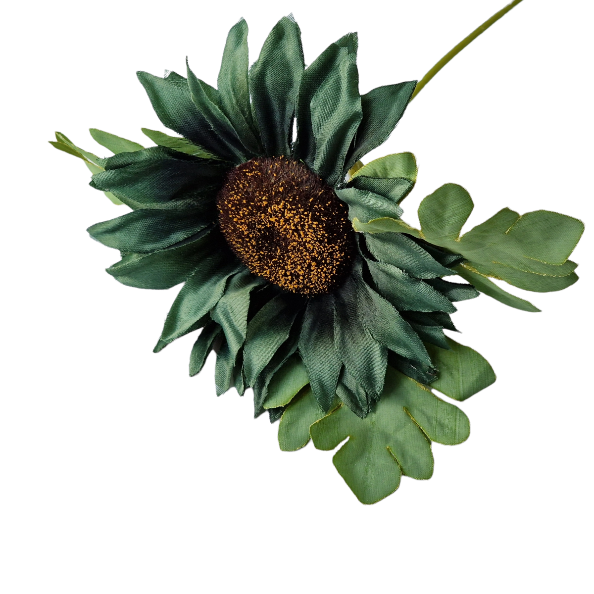 Image of Decor Flori /Fundal Photo Y