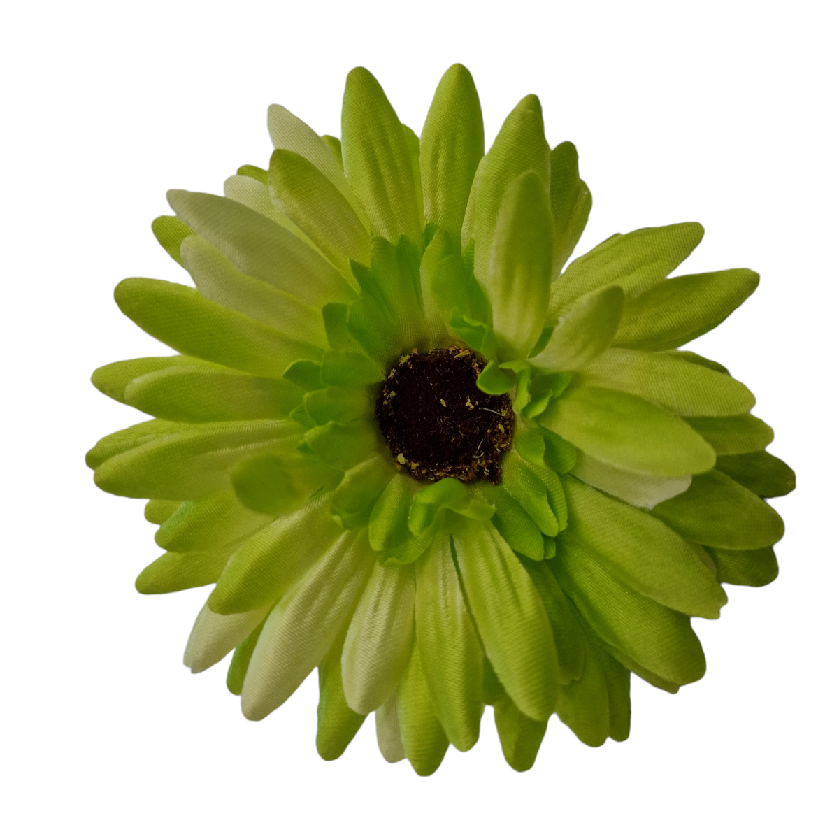 Image of Decor Flori /Fundal Photo G
