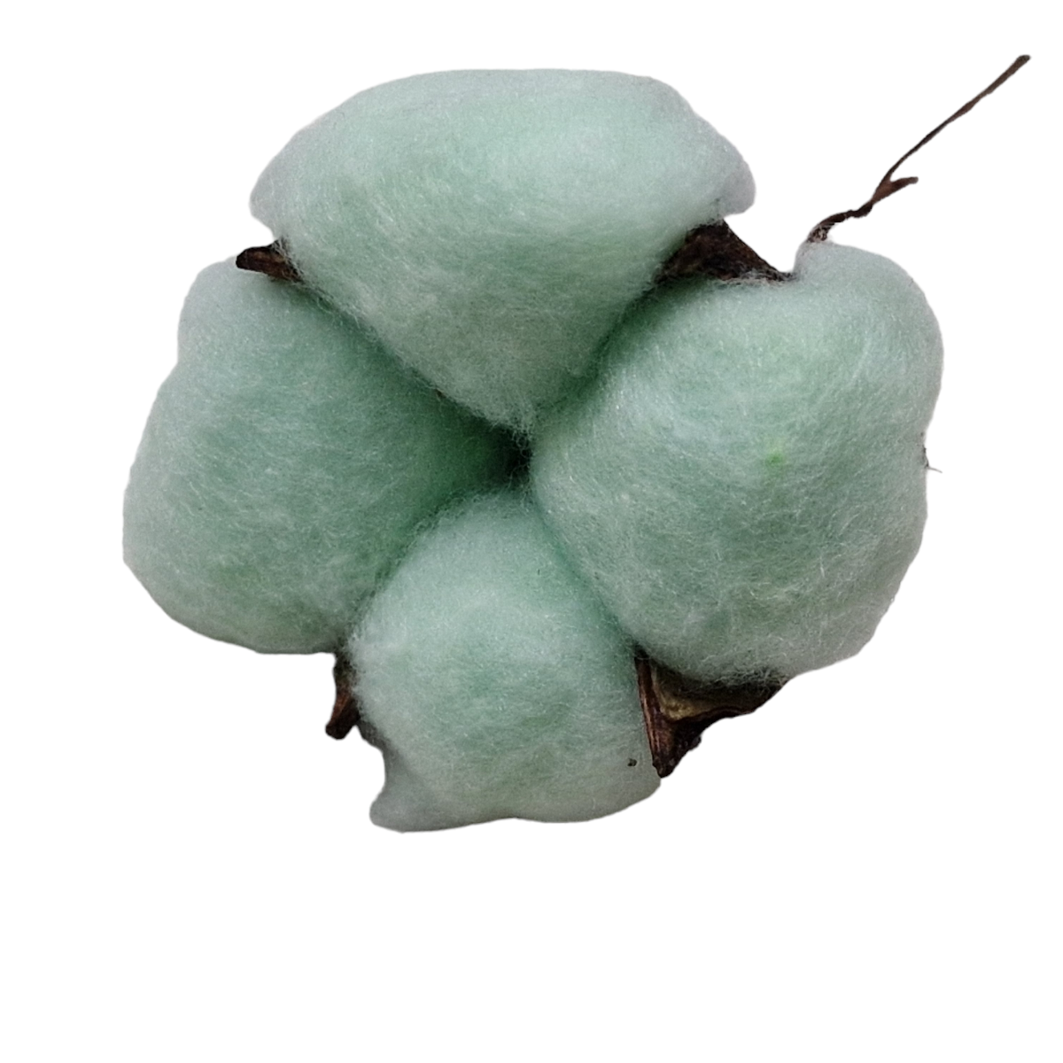 Floare de bumbac artificiala Verde pastel BuBuV