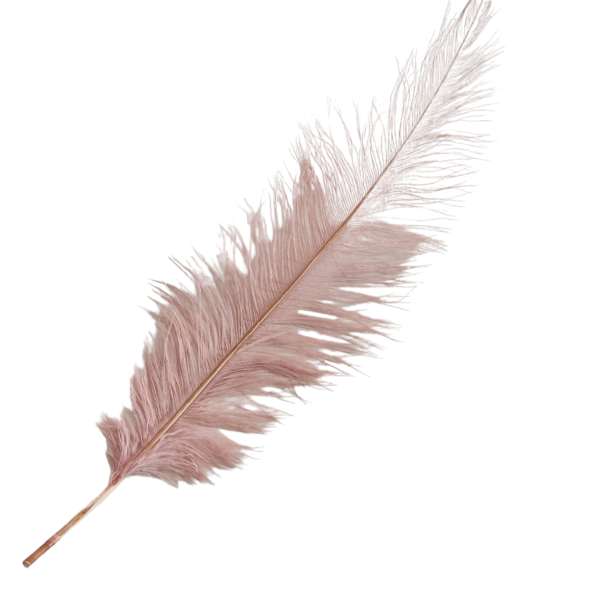 Image of Decor pana XXL Pink/Fundal Photo PP