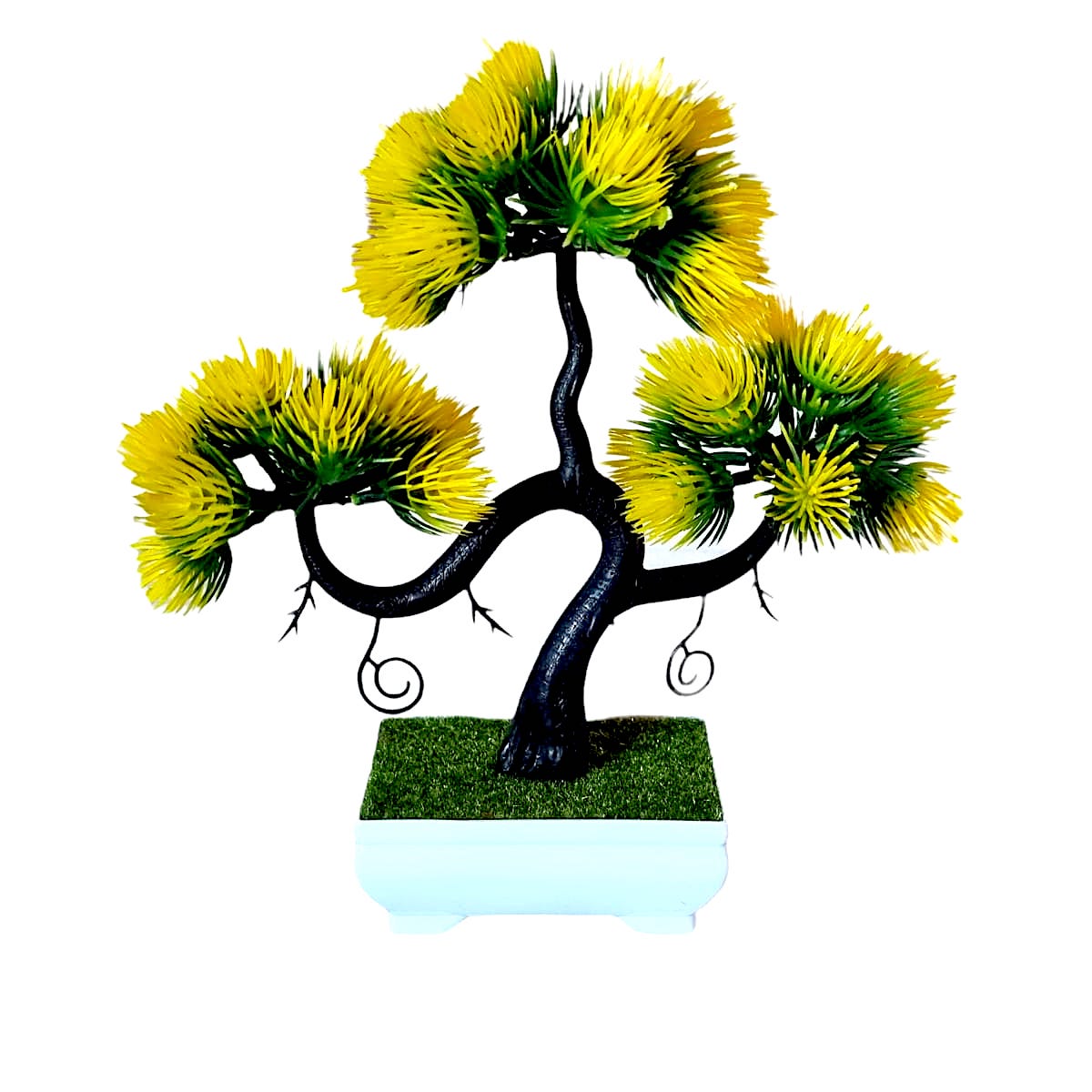 Image of Decor Bonsai/Fundal Photo G