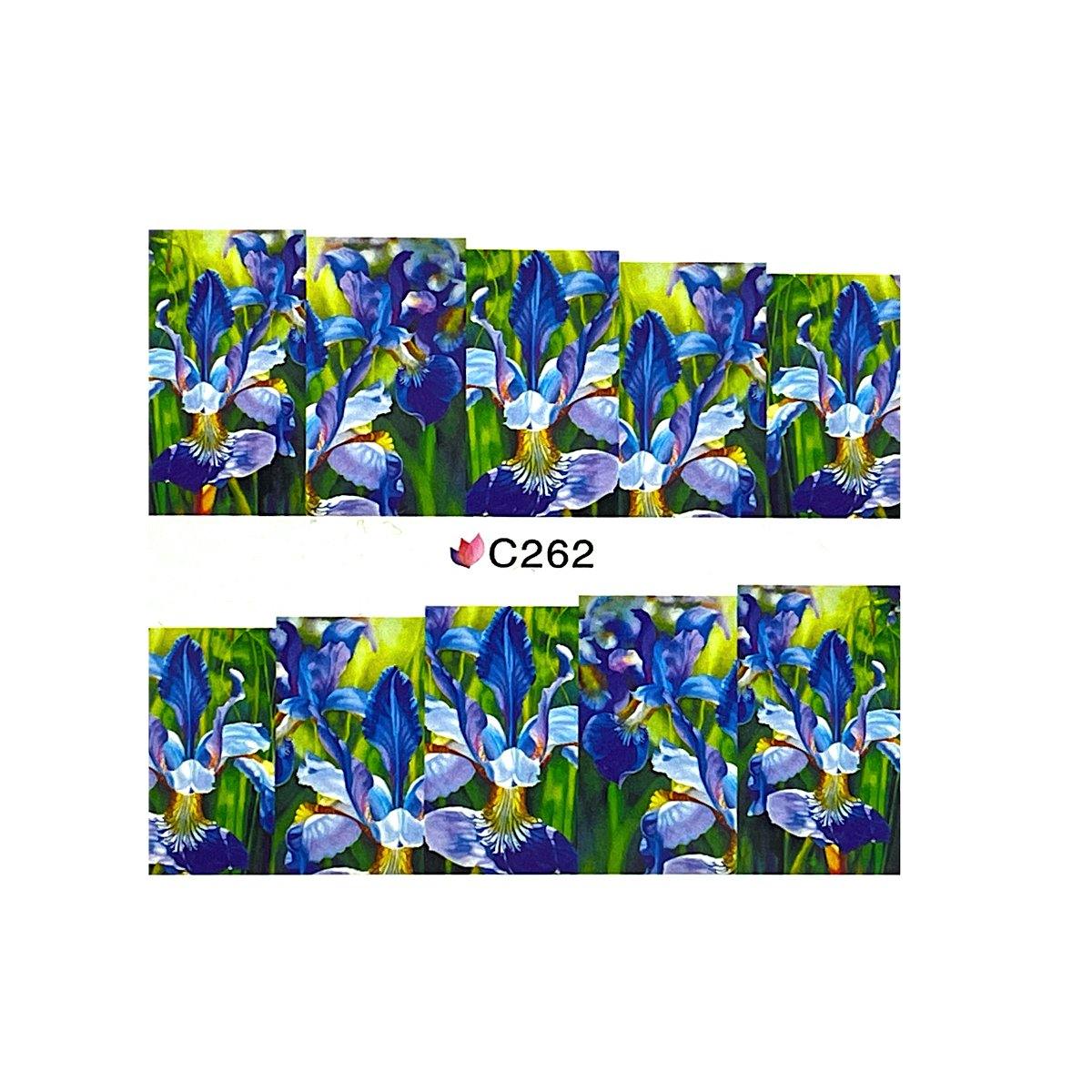 Tatuaj Decor Unghii 262 - Coria