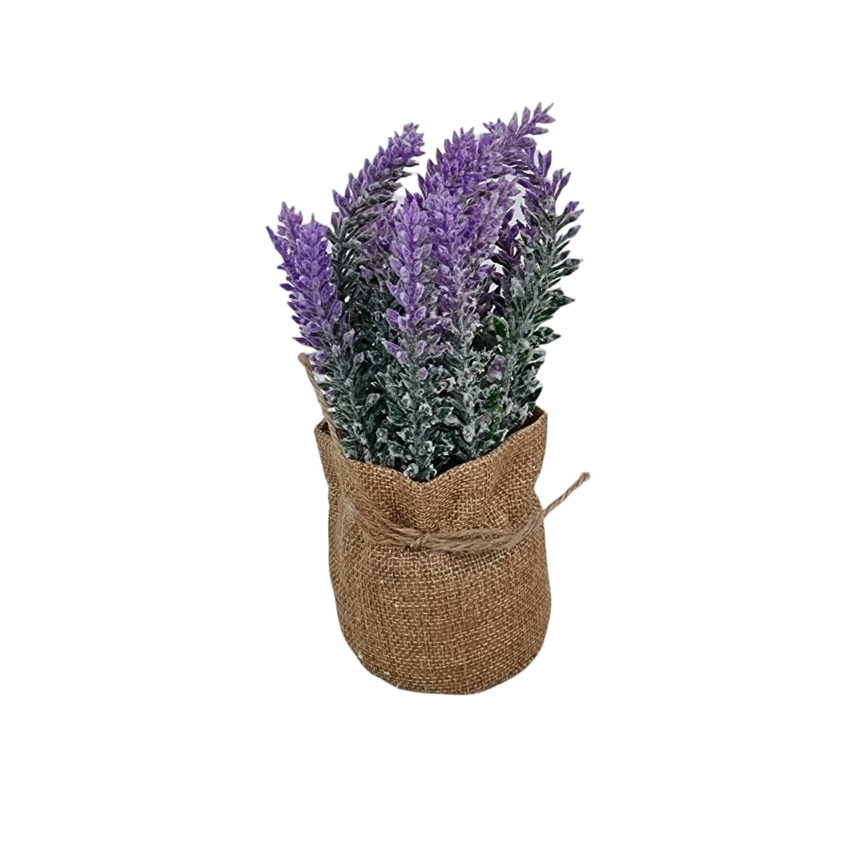 Decor Flori Lavanda /Fundal Photo M