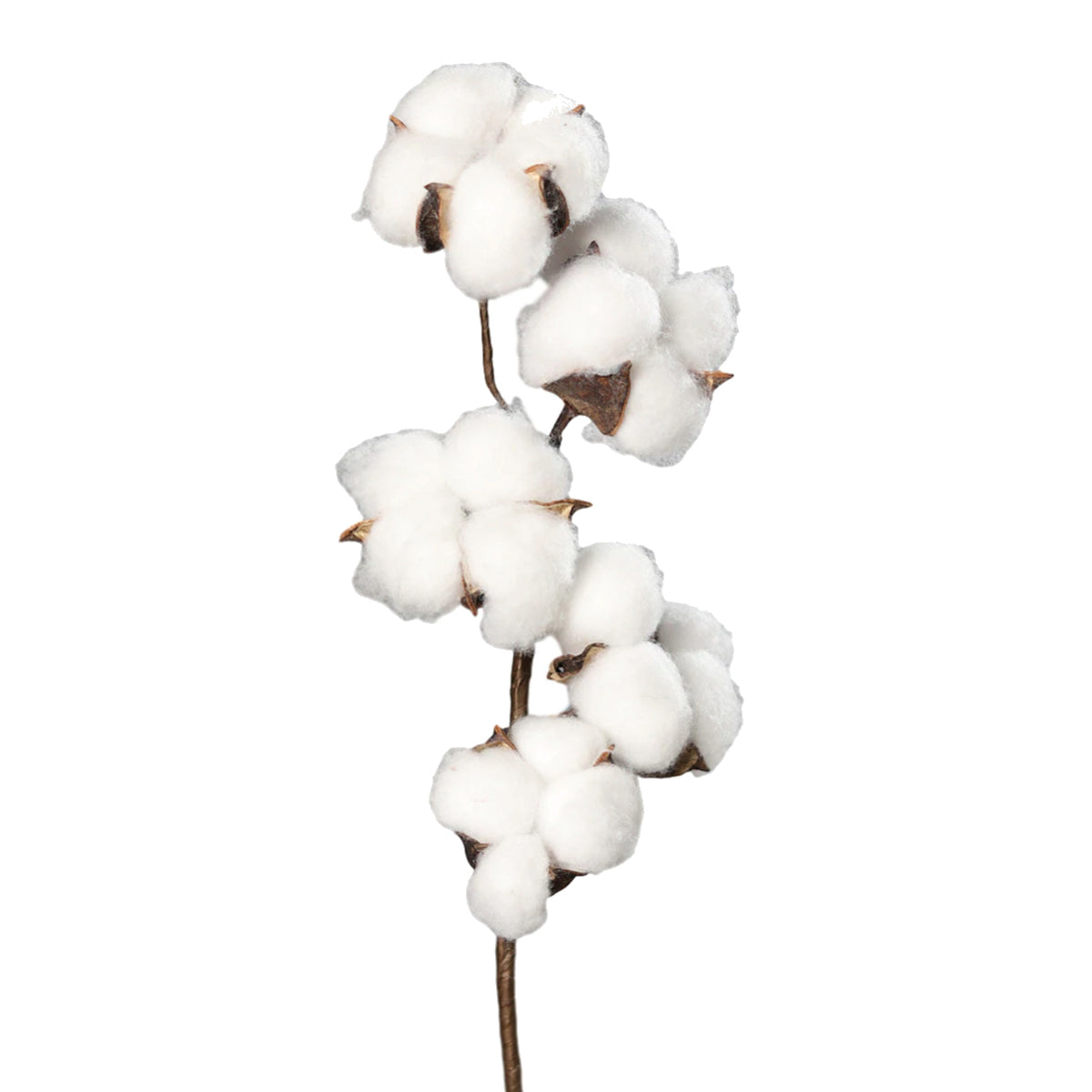 Floare de bumbac artificiala alb, 40 cm